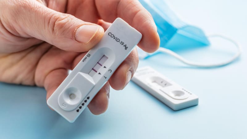 Nová varianta covidu je v Česku. „Cikáda“ dokáže úspěšně obejít očkování, upozorňují experti