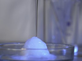 Rýže, jak ji neznáte: Vědci z ní vyrobili materiál s překvapivými vlastnostmi