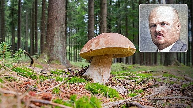 Naučil Čechy houbařit. Slavný mykolog Smotlacha přitom proslul jako docent tělovýchovy